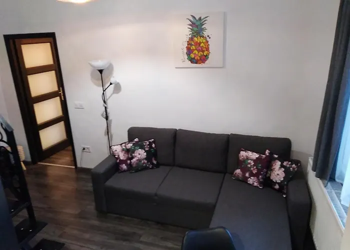 Downtown Deluxe Apartment