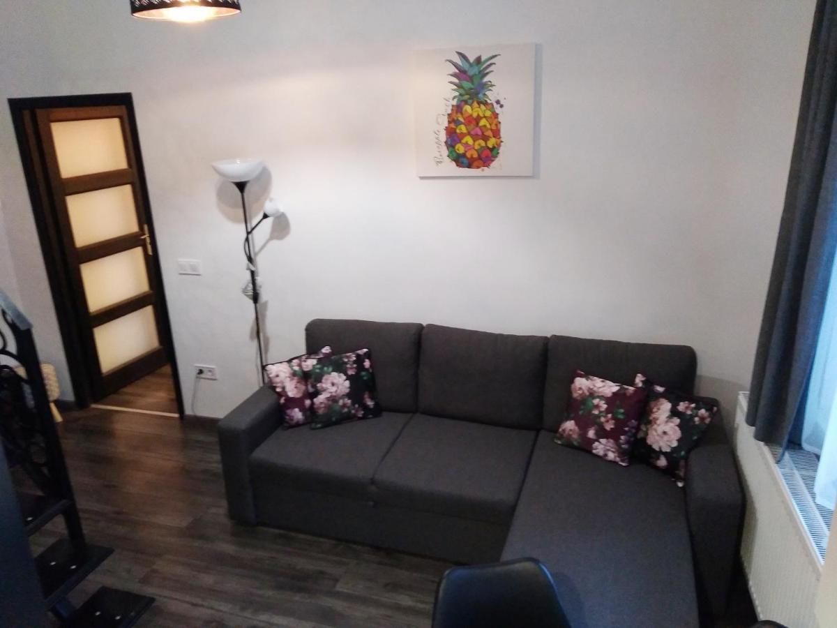 Apartment Downtown Deluxe *